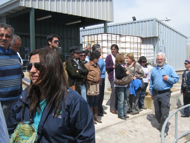 VISITA PLANT 4