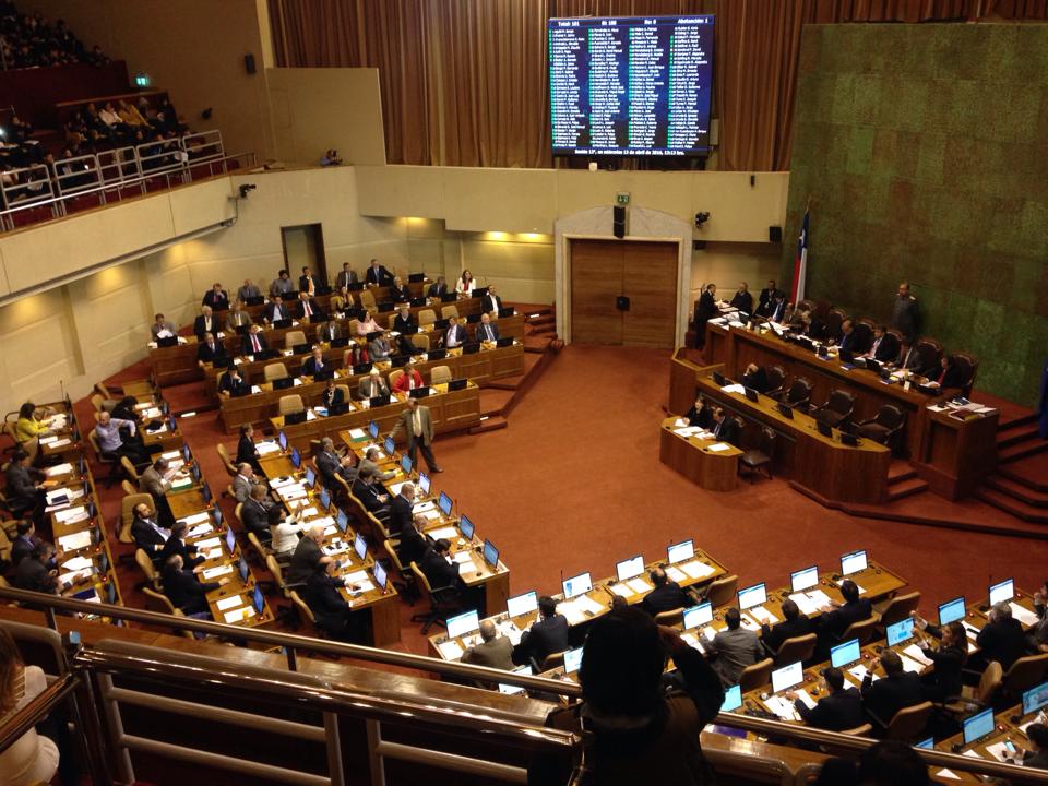 13000217 10209255896616029 8641444712591373529 n