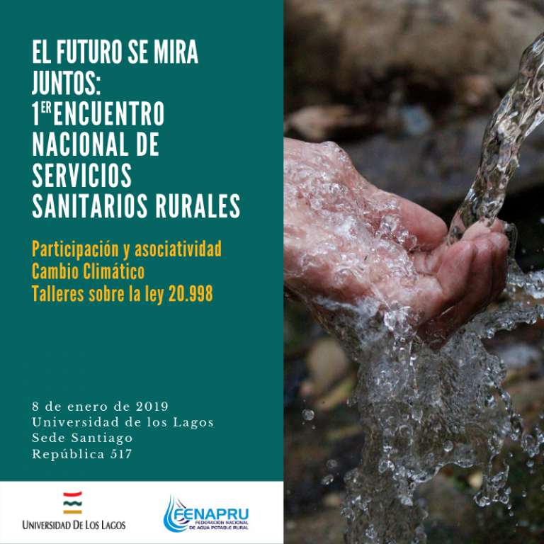 Afiche-Seminario-FENAPRU-12-768x768