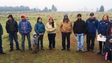A entrega de bono biobio